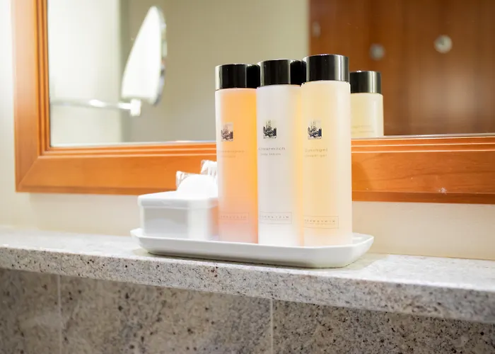 Kulm & Alpin ホテル